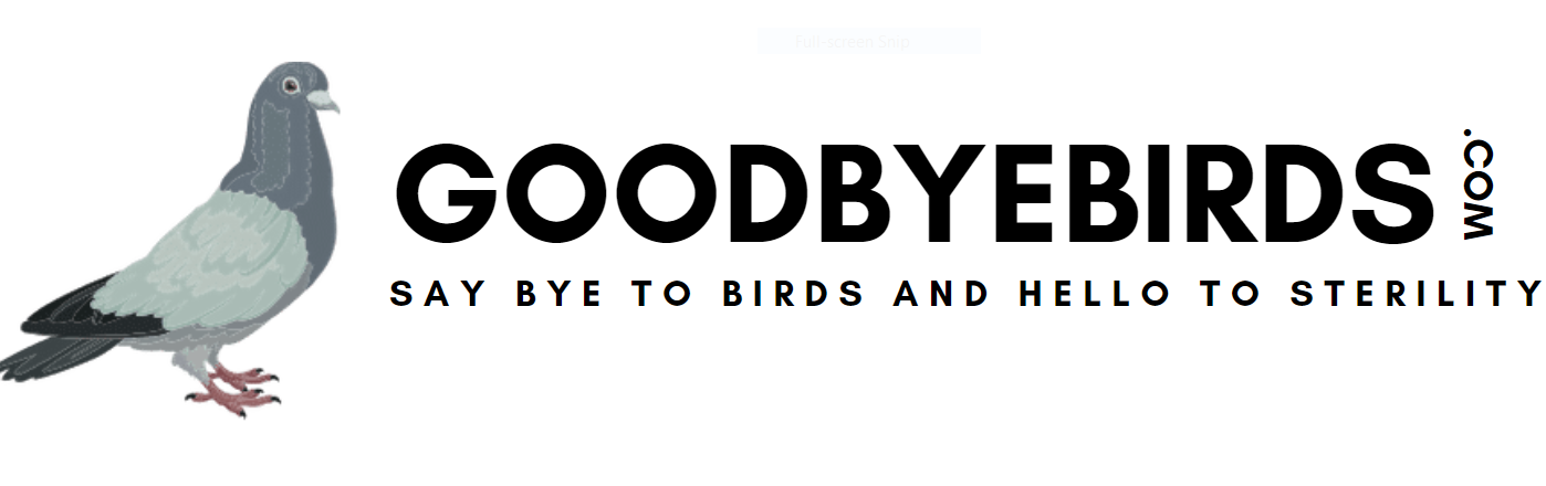 GoodByeBirds